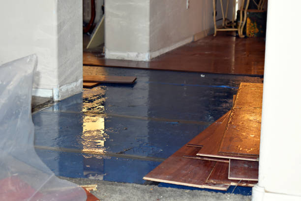 Professional Flood Damage Cleanup technician working in Franklin Park, FL